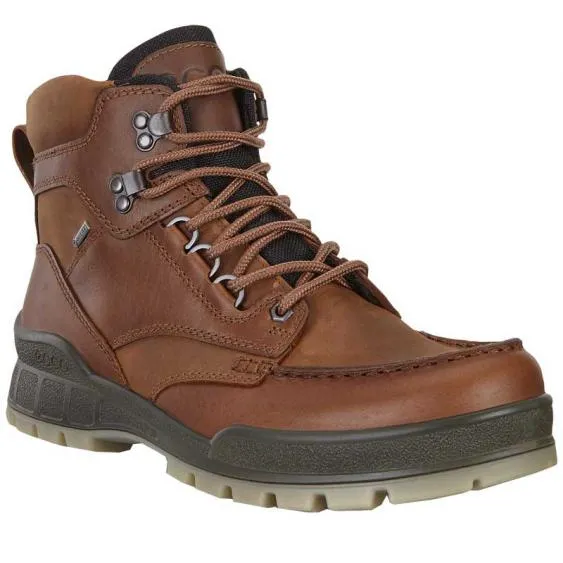Ecco Men's Track 25 High GORE-TEX Waterproof Boot - Bison
