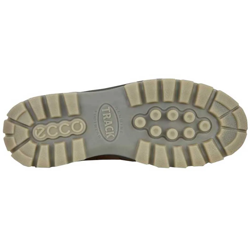 Ecco Men's Track 25 High GORE-TEX Waterproof Boot - Bison